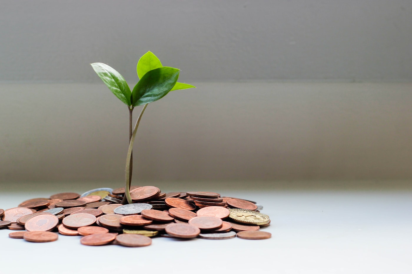 Brote verde creciendo sobre un montón de monedas, como imagen del ahorro sostenido.